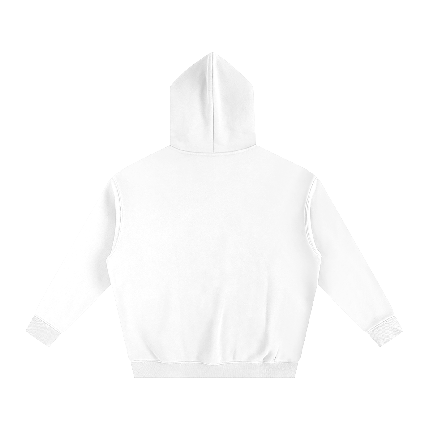 Catching Light Hoodie in White — back view
