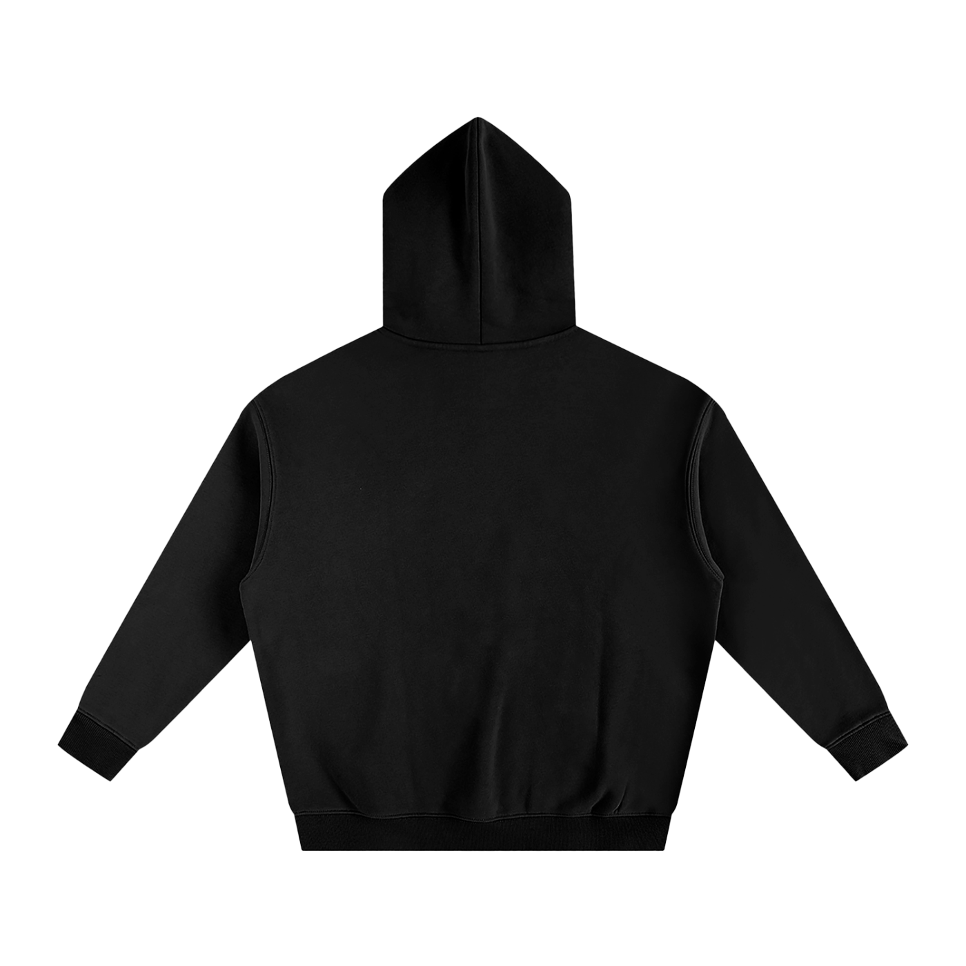 Catching Light Hoodie in Black — back view
